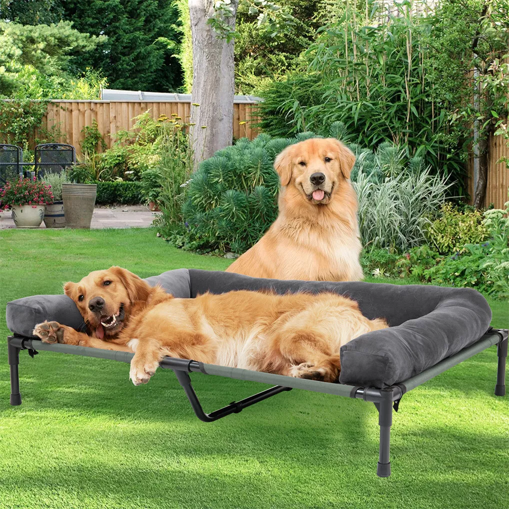 BINGOPAW Podwyższone legowisko – Outdoor Camping Dog Bed recenzja i cena