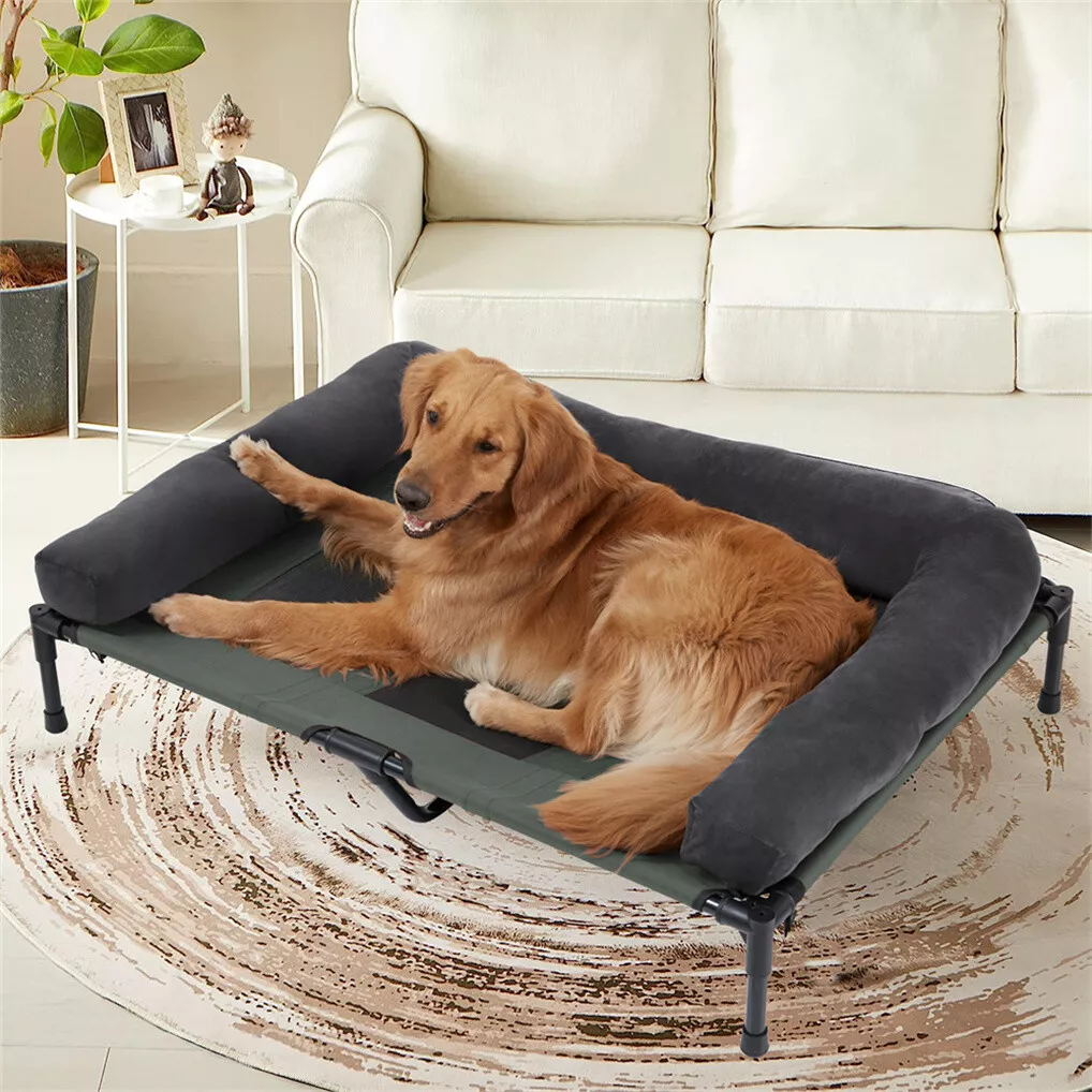 BINGOPAW Podwyższone legowisko – Outdoor Camping Dog Bed recenzja i cena