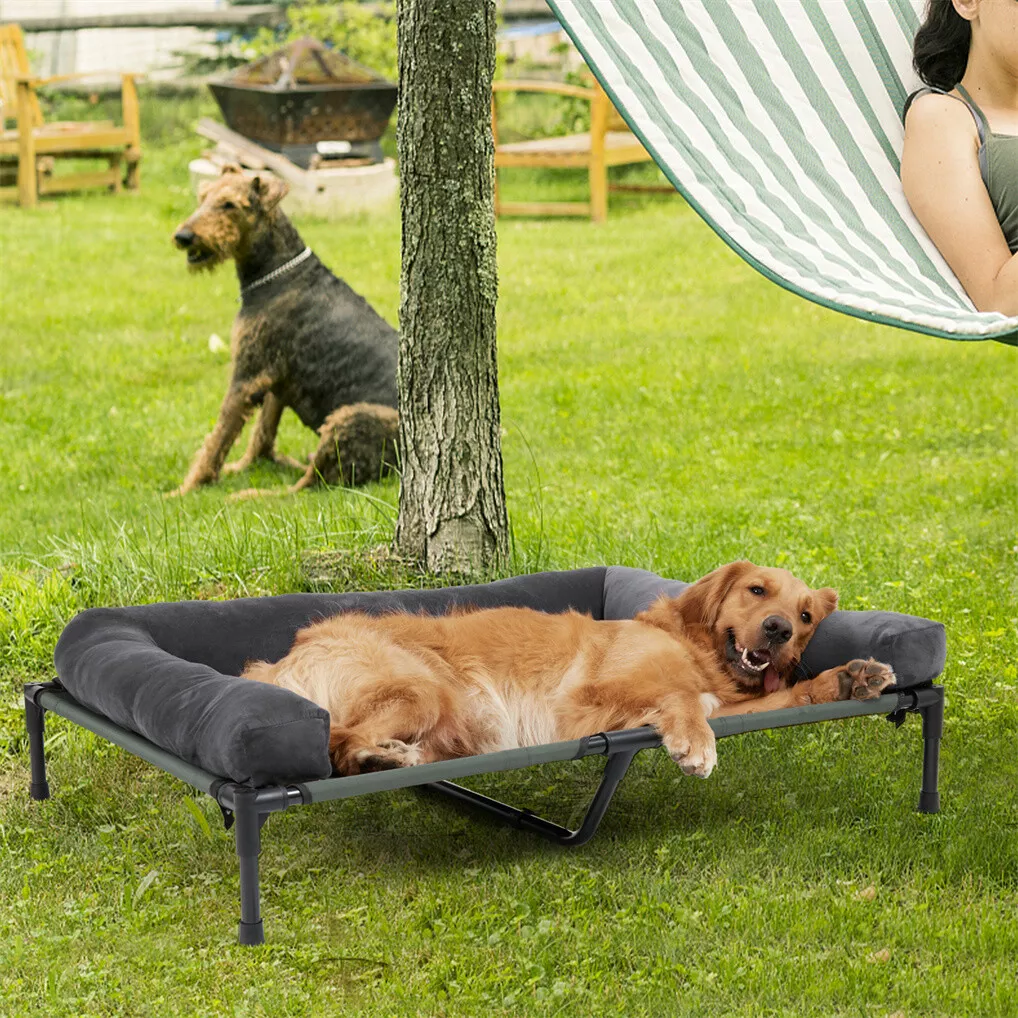 BINGOPAW Podwyższone legowisko – Outdoor Camping Dog Bed recenzja i cena