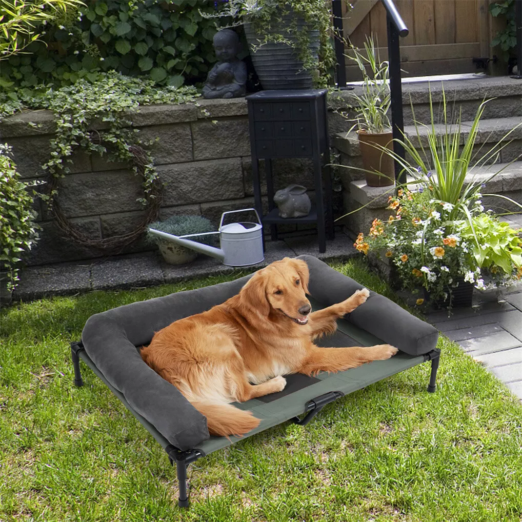BINGOPAW Podwyższone legowisko – Outdoor Camping Dog Bed recenzja i cena